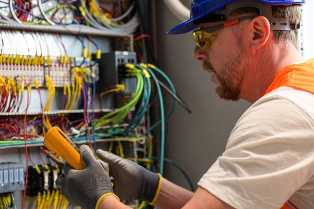 Best Electric Panel Repair  in Wolcott, IN